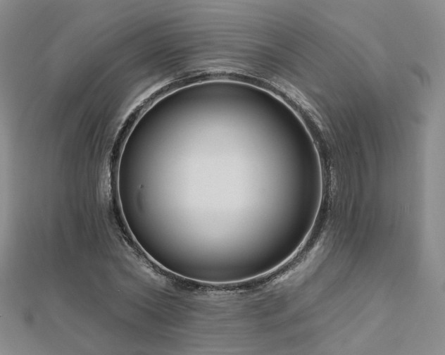 X0000112890782200908211453