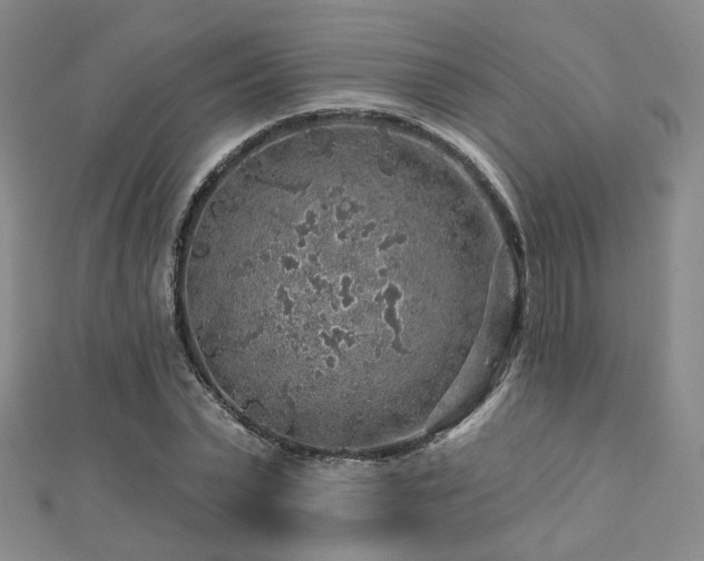 X0000112890783200908211453