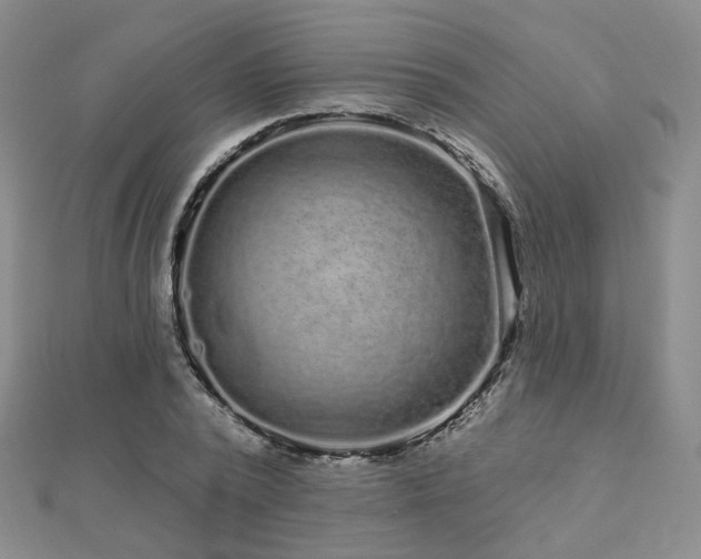 X0000112890784200908211453