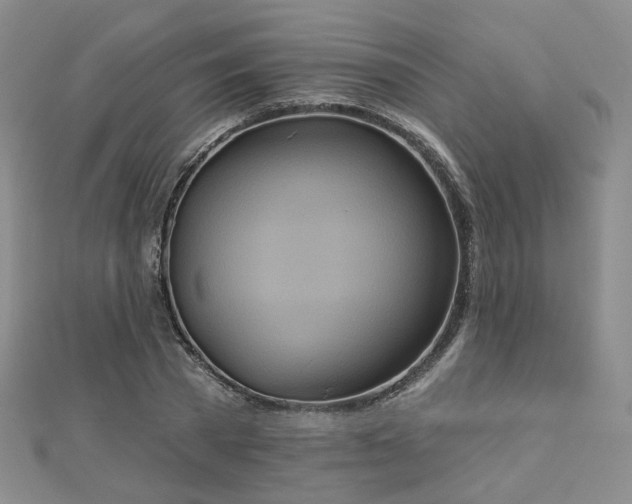 X0000112890785200908211453