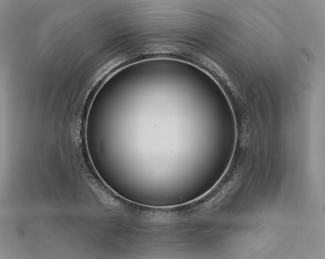 X0000112890786200908211453
