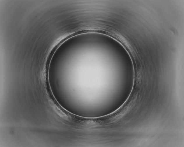 X0000112890787200908211453