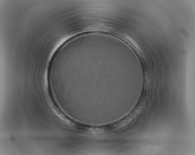 X0000112890788200908211453