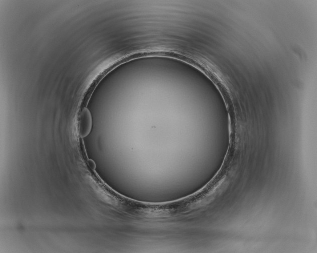 X0000112890789200908211453