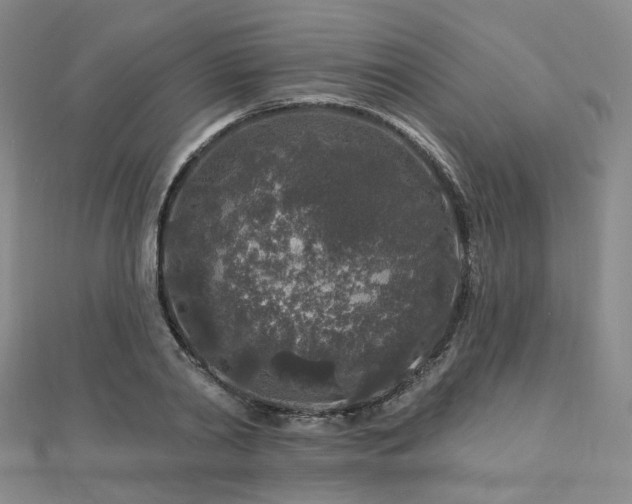 X0000112890790200908211453