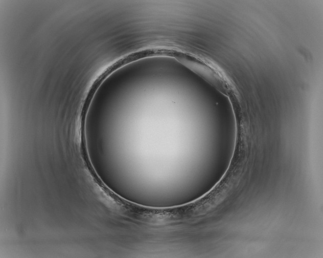 X0000112890791200908211453