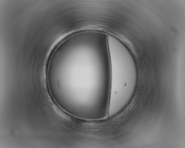 X0000112890792200908211453