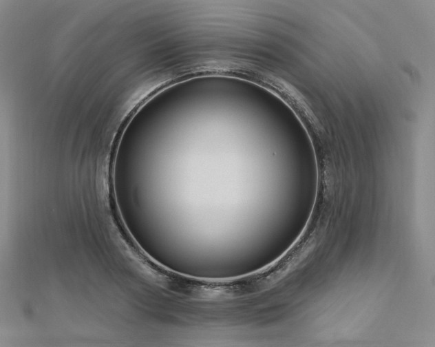 X0000112890794200908211453