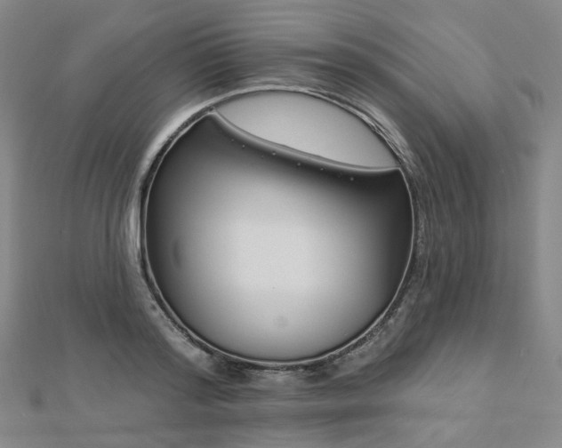 X0000112890796200908211453
