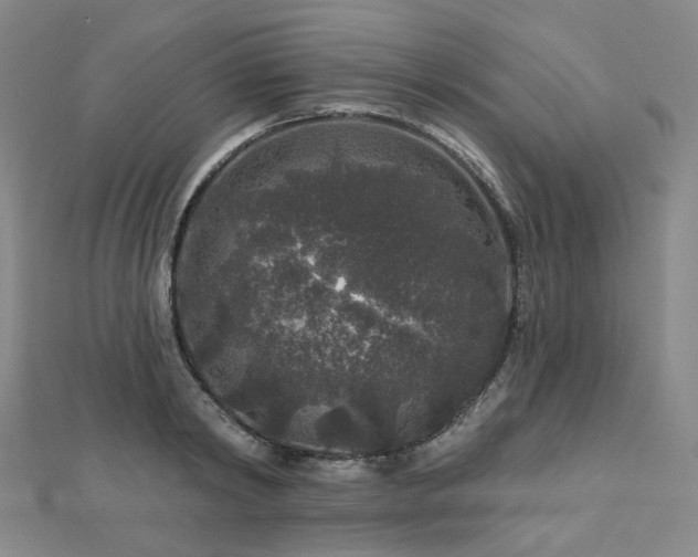 X0000112890798200908211452