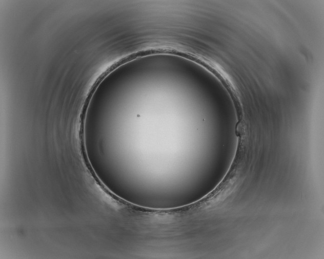 X0000112890799200908211452