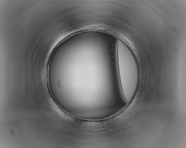 X0000112890800200908211452