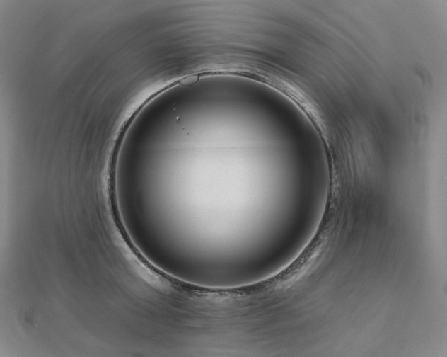 X0000112890803200908211452