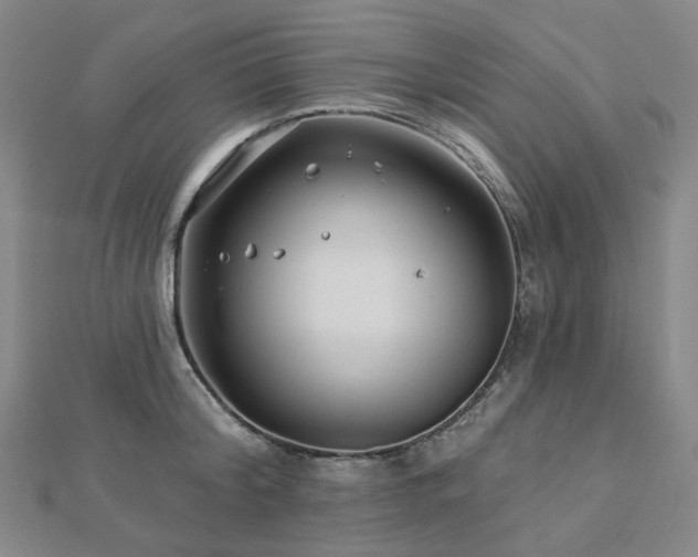 X0000112890804200908211452