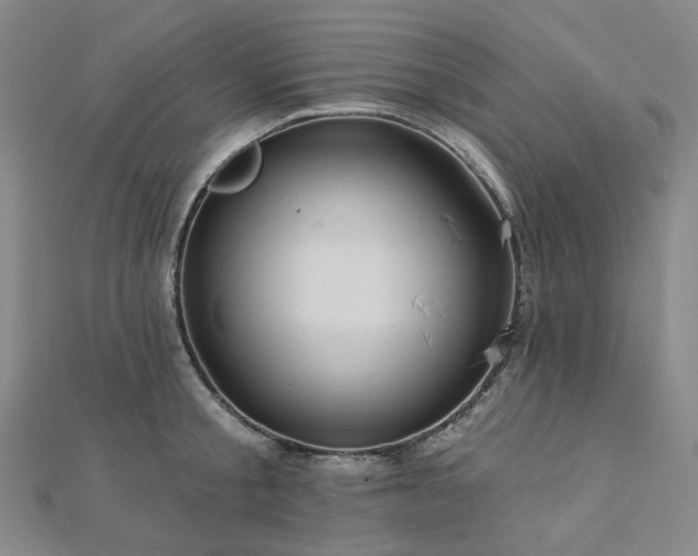 X0000112890805200908211452