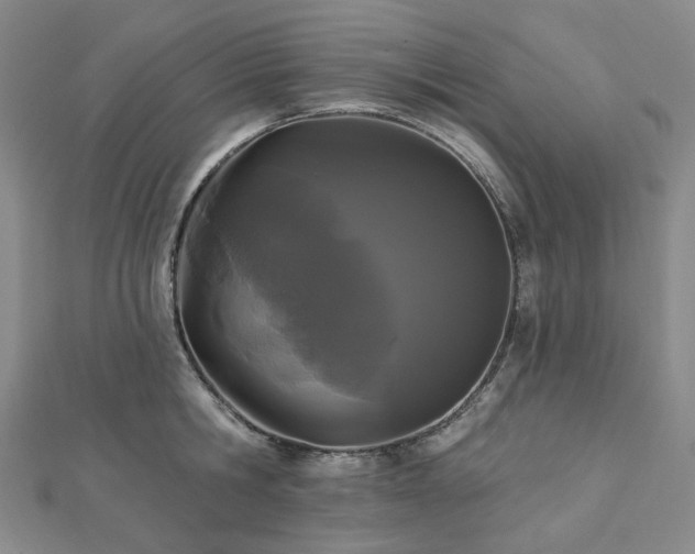 X0000112890806200908211452