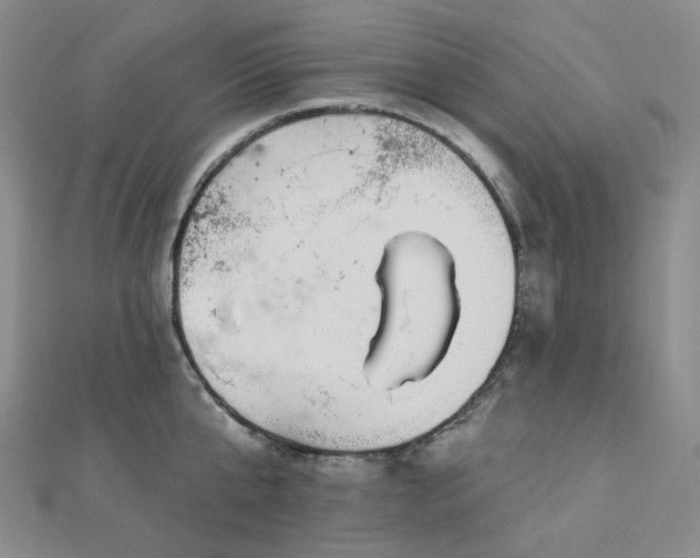 X0000112890807200908211452