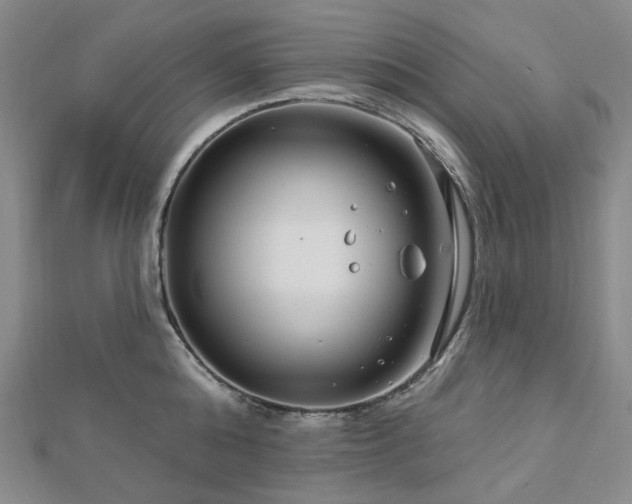X0000112890808200908211452