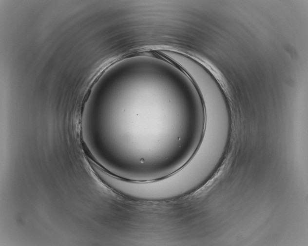 X0000112890809200908211452