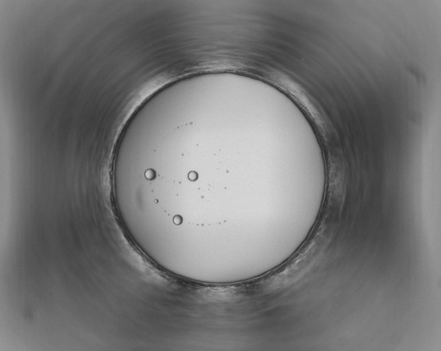 X0000112890810200908211452