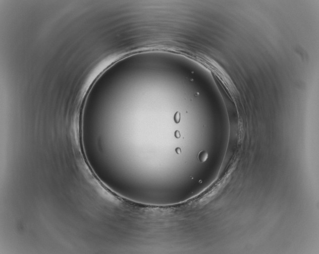 X0000112890812200908211452