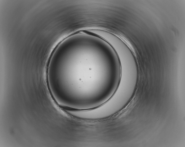 X0000112890813200908211452