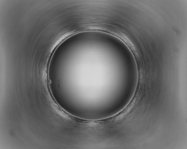 X0000112890814200908211452