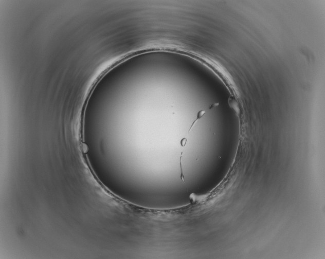X0000112890815200908211452