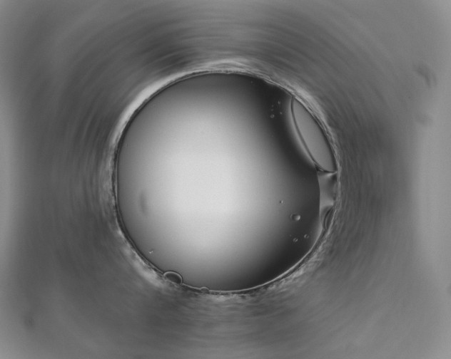 X0000112890816200908211452