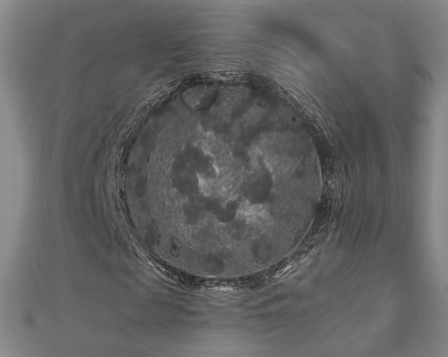 X0000112890817200908211451