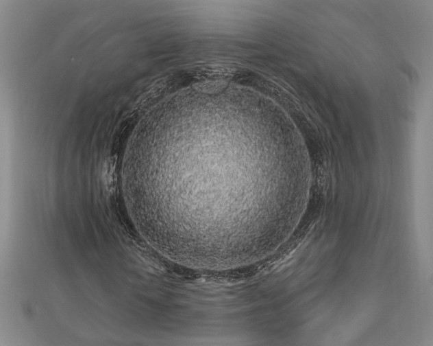 X0000112890818200908211451
