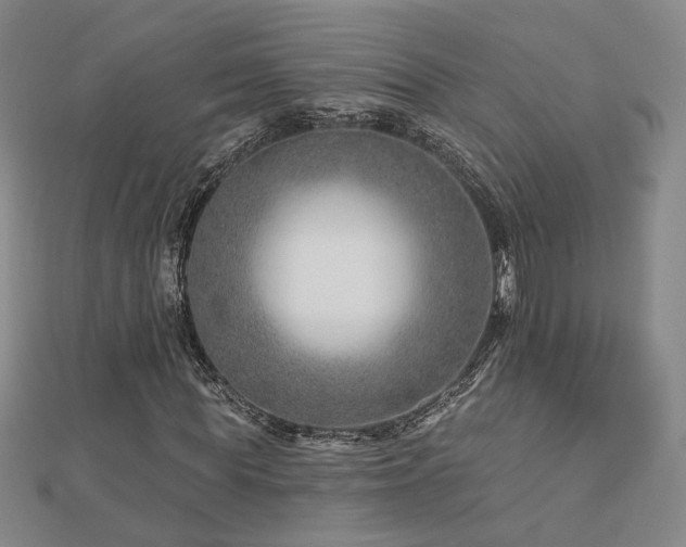 X0000112890819200908211451