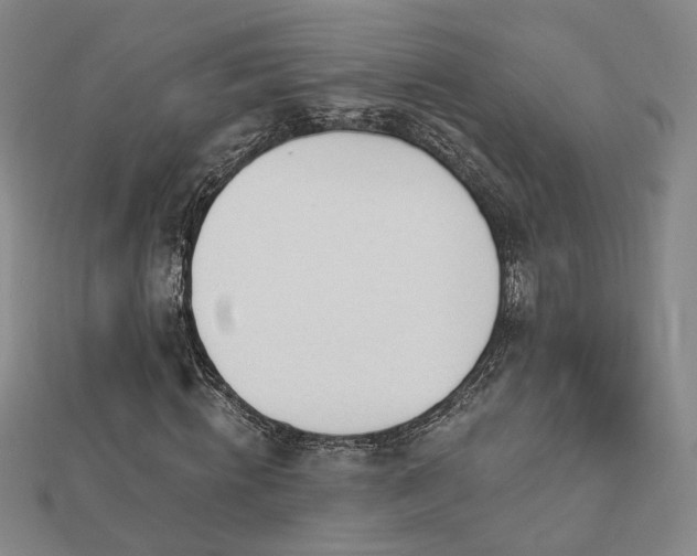 X0000112890820200908211451