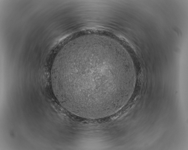 X0000112890822200908211451