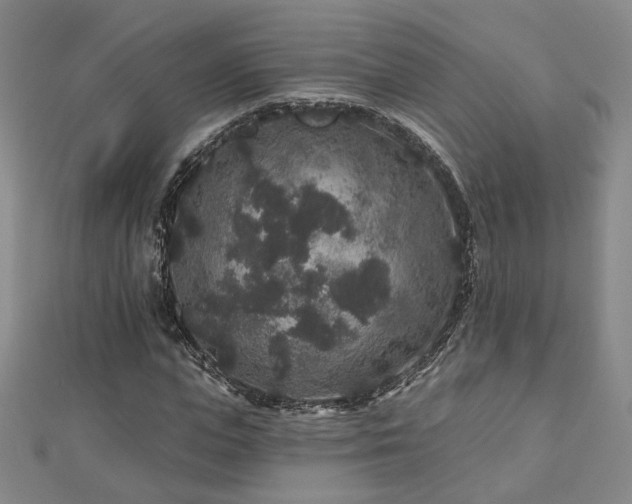 X0000112890823200908211451