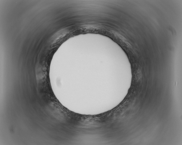 X0000112890824200908211451