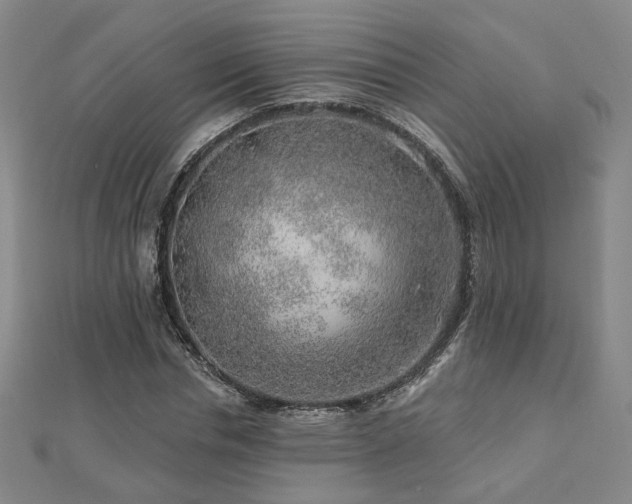 X0000112890826200908211451