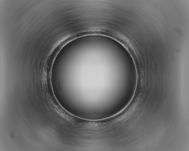 X0000112890827200908211451