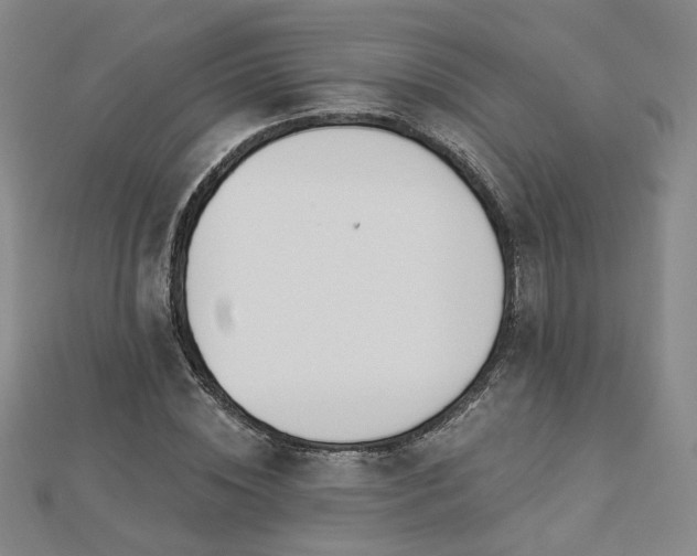 X0000112890828200908211451