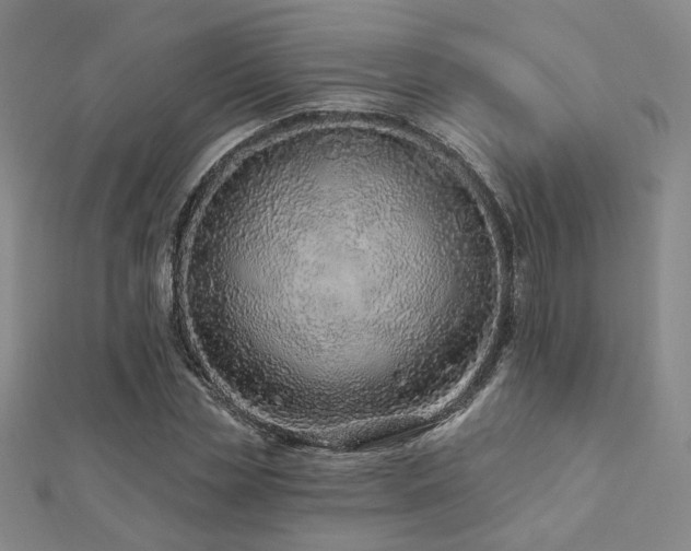 X0000112890829200908211451