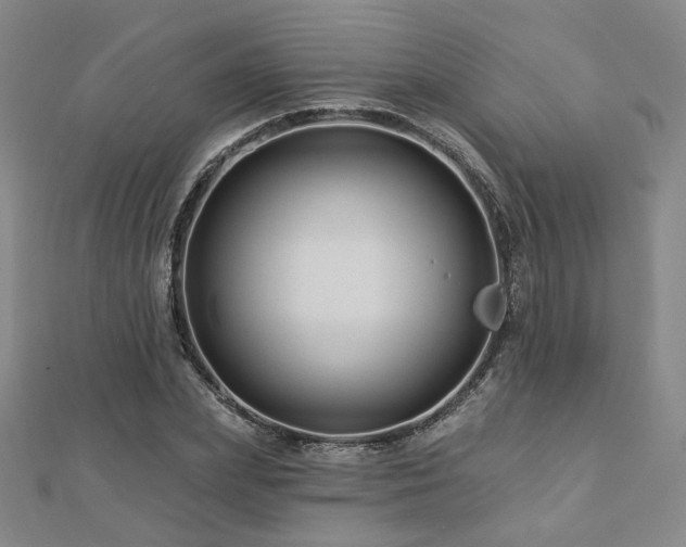 X0000112890831200908211451