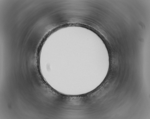 X0000112890832200908211451