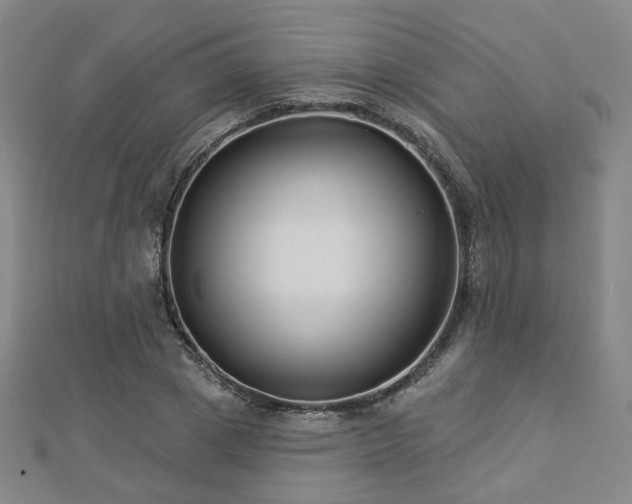 X0000112890833200908211452