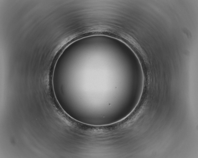 X0000112890834200908211452