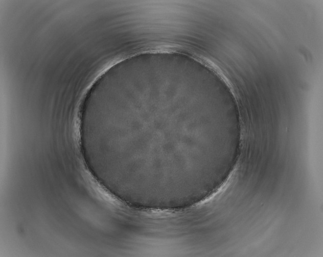 X0000112890835200908211452