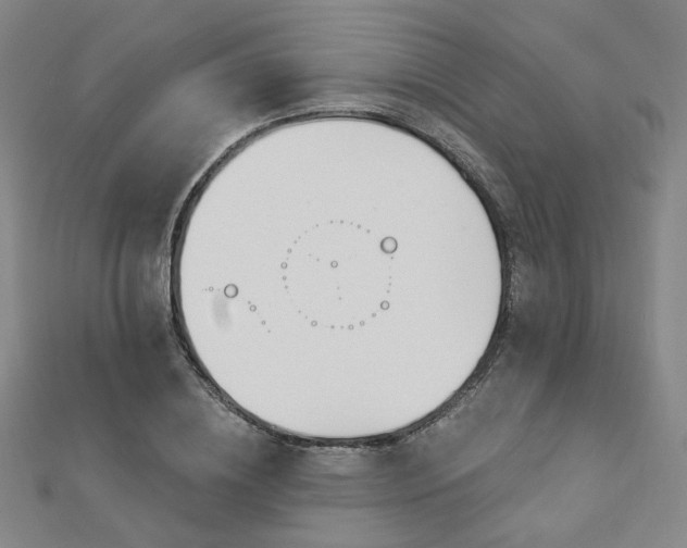 X0000112890836200908211452