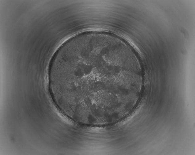 X0000112890837200908211452