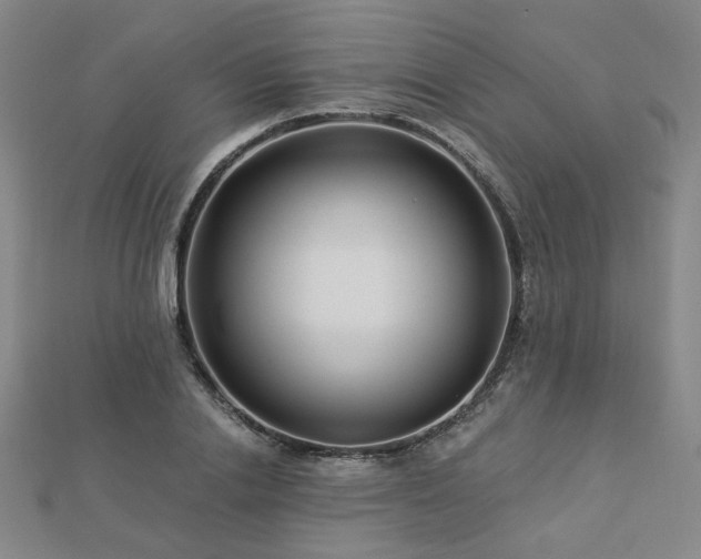 X0000112890838200908211452