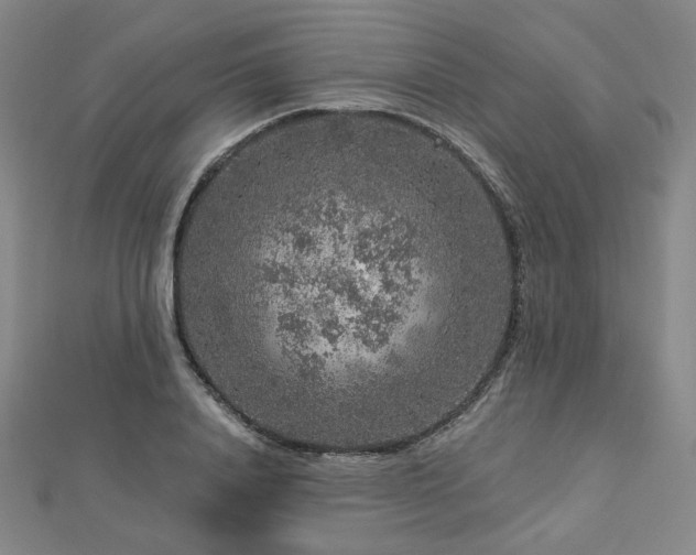 X0000112890840200908211452