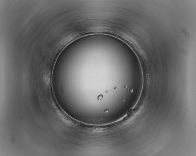 X0000112890841200908211452